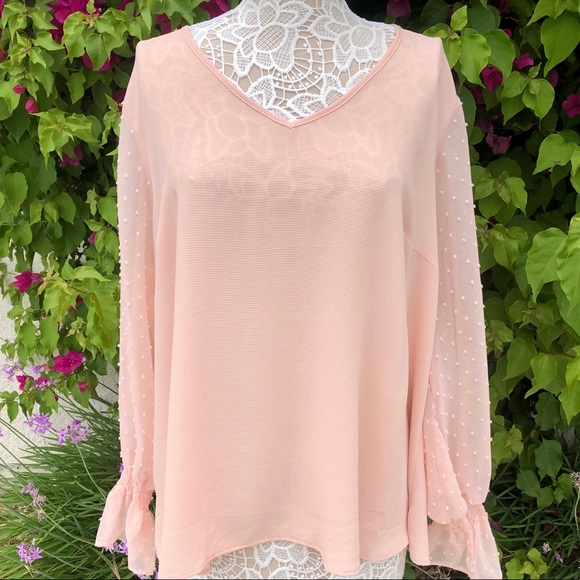 Lane Bryant Tops - Lane Bryant Swiss Dot Long Sleeve Sheer Blouse